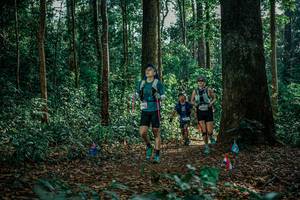 BIB: 
                            <button type="button" onclick="openModal(26129367)" class="btn btn-primary btn-sm float-right btn-popup" data-toggle="modal" data-target=".modal-high-quality">
                        <i class="fas fa-shopping-cart"></i> Add to Cart
                    </button>
                                            <button type="button" onclick="isThisMe(26129367, true)" class="btn btn-success btn-sm float-right btn-popup btn-isme hidden" data-toggle="tooltip" data-placement="bottom" title="นี่คือรูปของคุณใช่ไหม คลิกที่นี่เพื่อเอาเข้าอัลบั้ม">
                        <i class="fas fa-plus"></i> Add to album
                    </button>
                    <button type="button" onclick="isThisMe(26129367, false)" class="btn btn-warning btn-sm float-right btn-popup btn-isnotme hidden">
                        <i class="fas fa-ban"></i> Remove from album
                    </button>